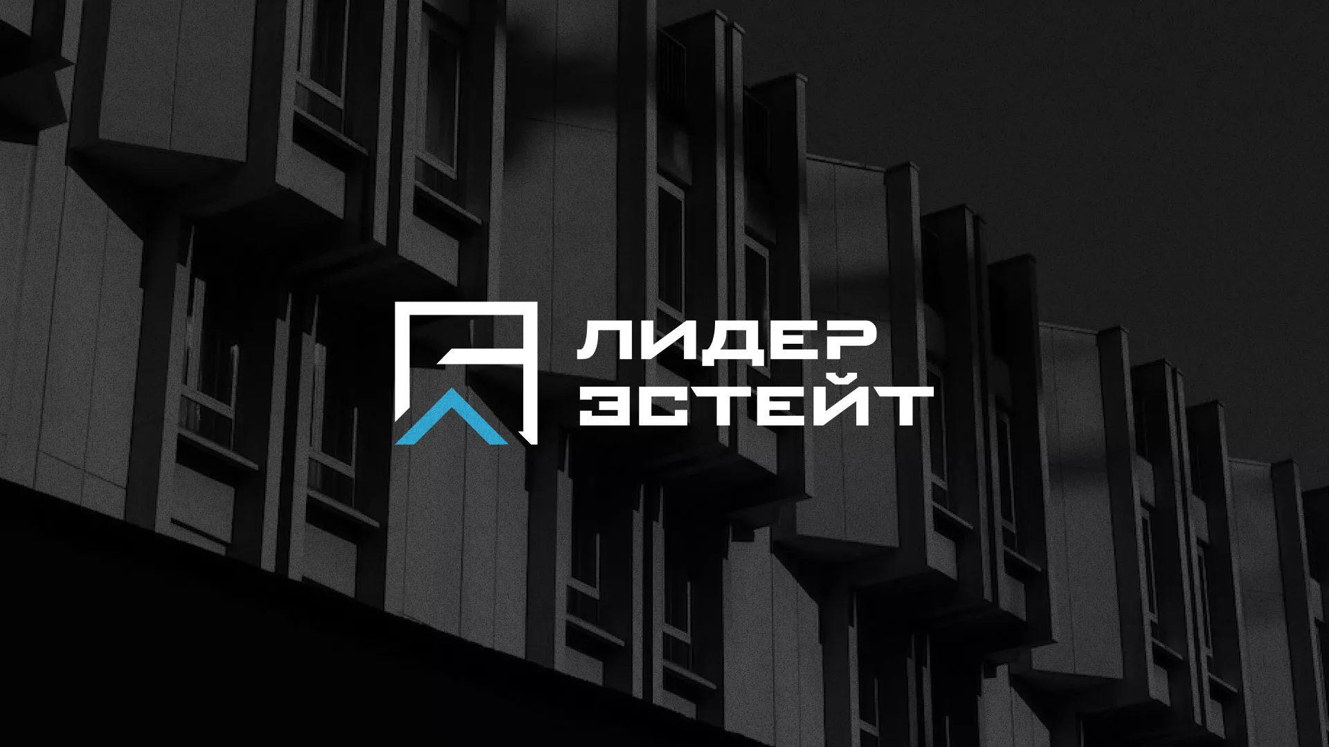 Разработка логотипа агентства недвижимости «Лидер Эстейт» в Семёнове